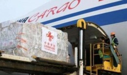 美国呼吸机爆料视频最新,美国呼吸机爆料视频揭露医疗危机真相